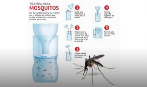 Trampa casera para mosquitos